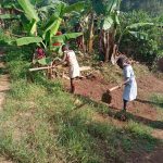farming-bananas